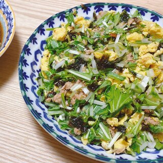 タンパク質たっぷり！水菜の韓国海苔サラダ